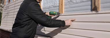 Best Siding Painting and Refinishing  in Marion, VA